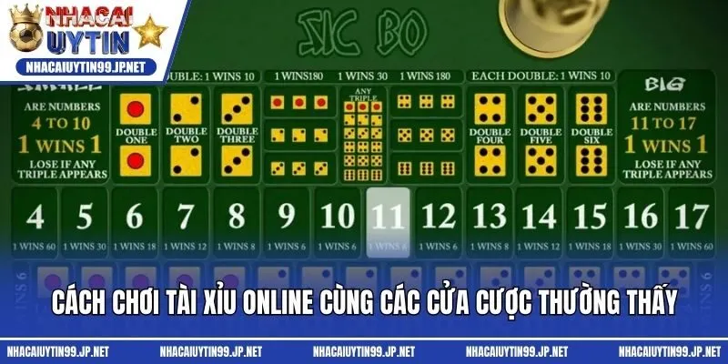 Cách chơi Tài xỉu online cùng các cửa cược thường thấy