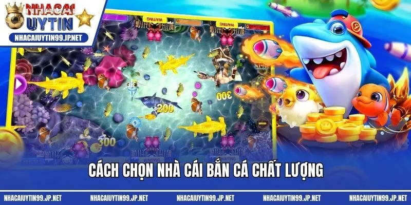 Cách chọn nhà cái bắn cá chất lượng