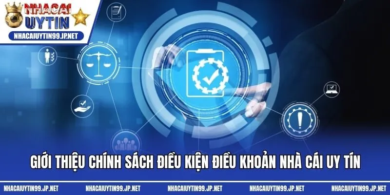 Giới thiệu chính sách điều kiện điều khoản Nhà cái uy tín