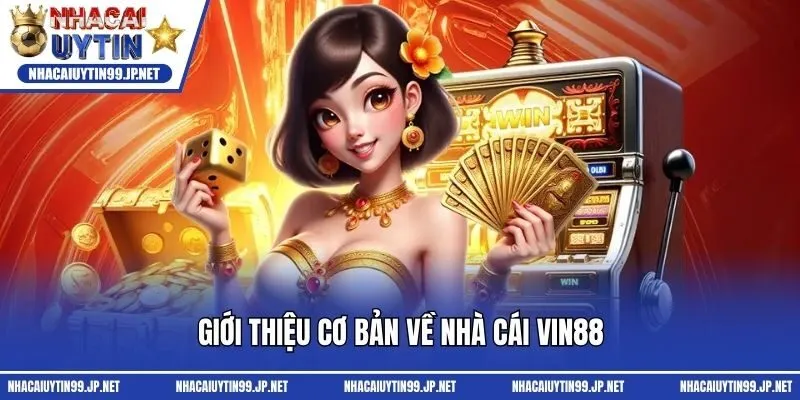 Giới thiệu cơ bản về nhà cái Vin88